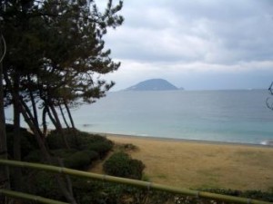 1266464555_CIMG8111-1