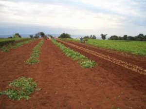 1322650457_NONALNUM-A5B3A5D4A1BCA1C143494D4734303639